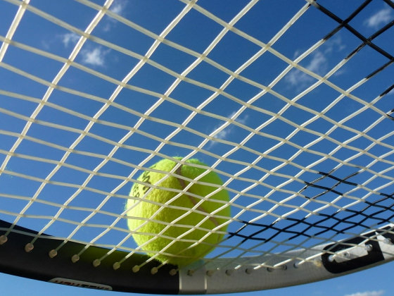 tennis tennis