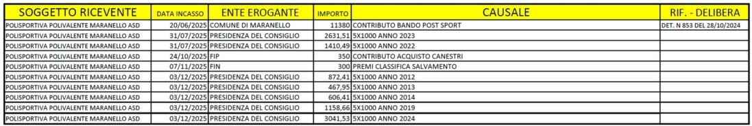 CONTRIBUTI PUBBLICI